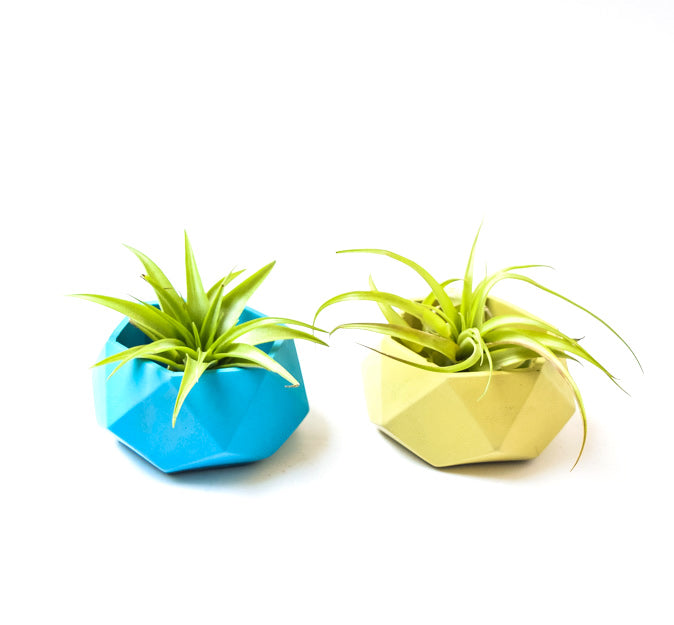 geometric pot planter Geometric Planter - Planter with Drainage - Concrete Planter