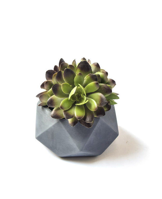 Geometric Planter - Planter with Drainage - Concrete Planter - Cement - Modern - Minimalist - Succulent Planter - Air Plant Holder