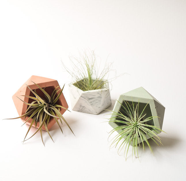 geometric plant hanger Air Plant Holder - Mini Planter - Concrete - Geometric Candle