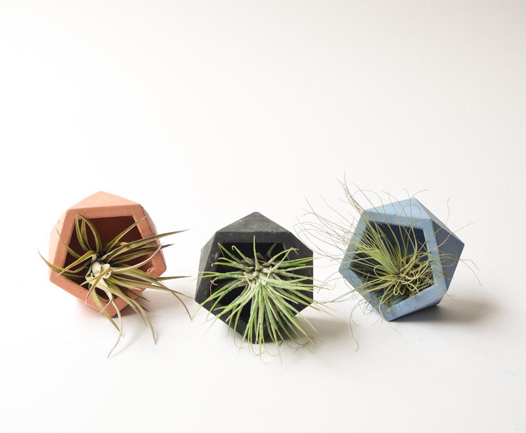 Air Plant Holder - Mini Planter - Concrete - Geometric Candle - Cement - Modern - Minimalist - Wedding Favor - Shower Favor - Decor
