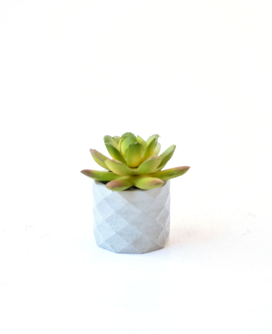 Small Concrete Geo Planter