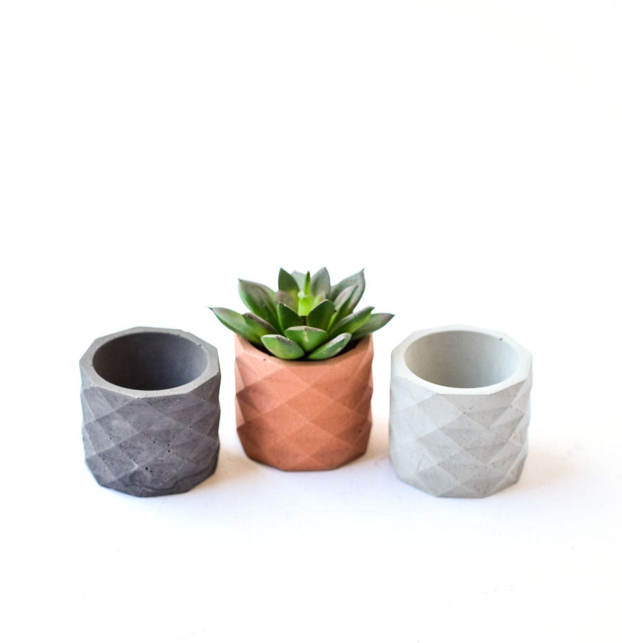 Small Concrete Geo Planter