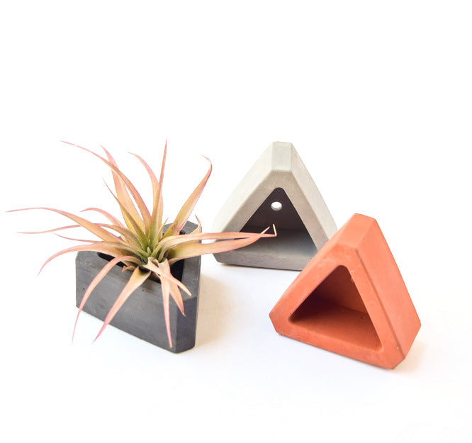 succulent triangle Concrete Planter - Succulent Planter - Air Plant Holder