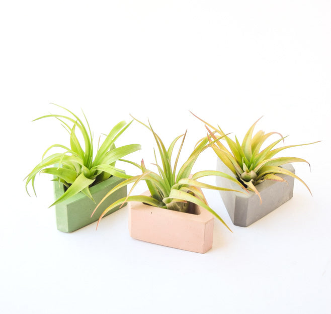 Concrete Planter - Succulent Planter - Air Plant Holder - Planter with Drainage - Cement - Triangle Planter - Geometric - Modern Minimalist