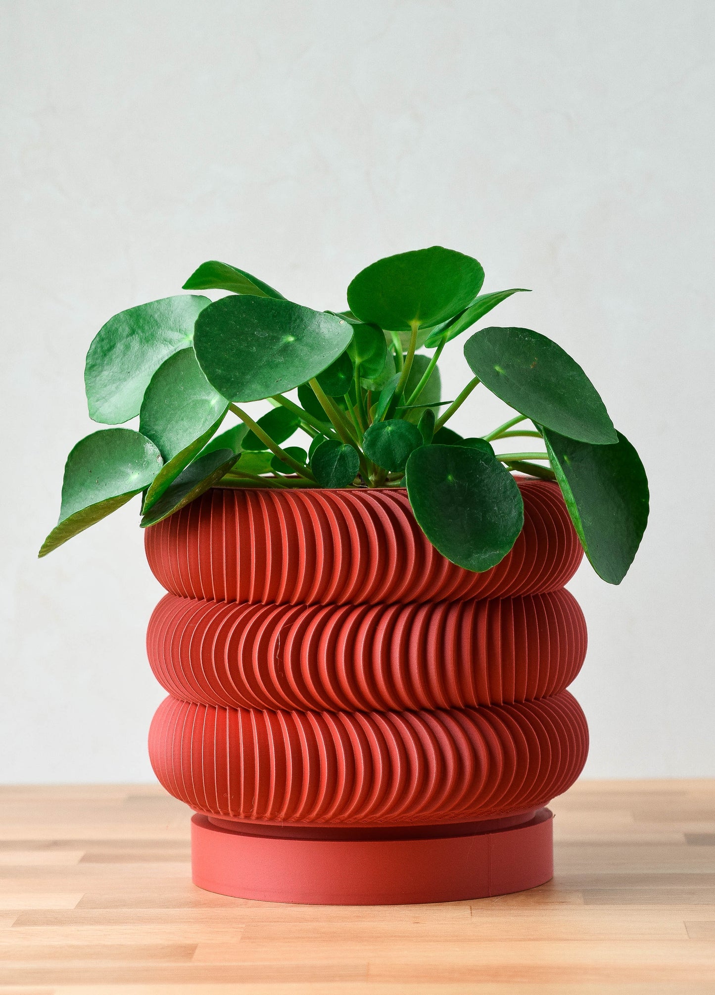 Modern Indoor Plant Pot with Drip Tray, 3d Printed Bubble Planter with Drainage