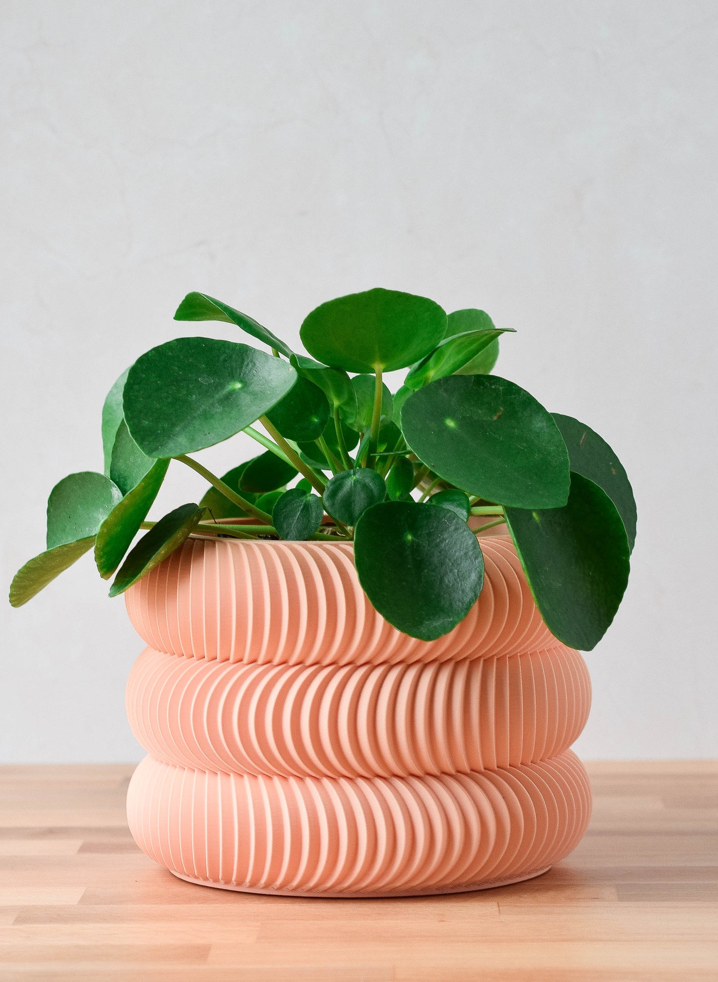 Modern Indoor Plant Pot with Drip Tray, 3d Printed Bubble Planter with Drainage