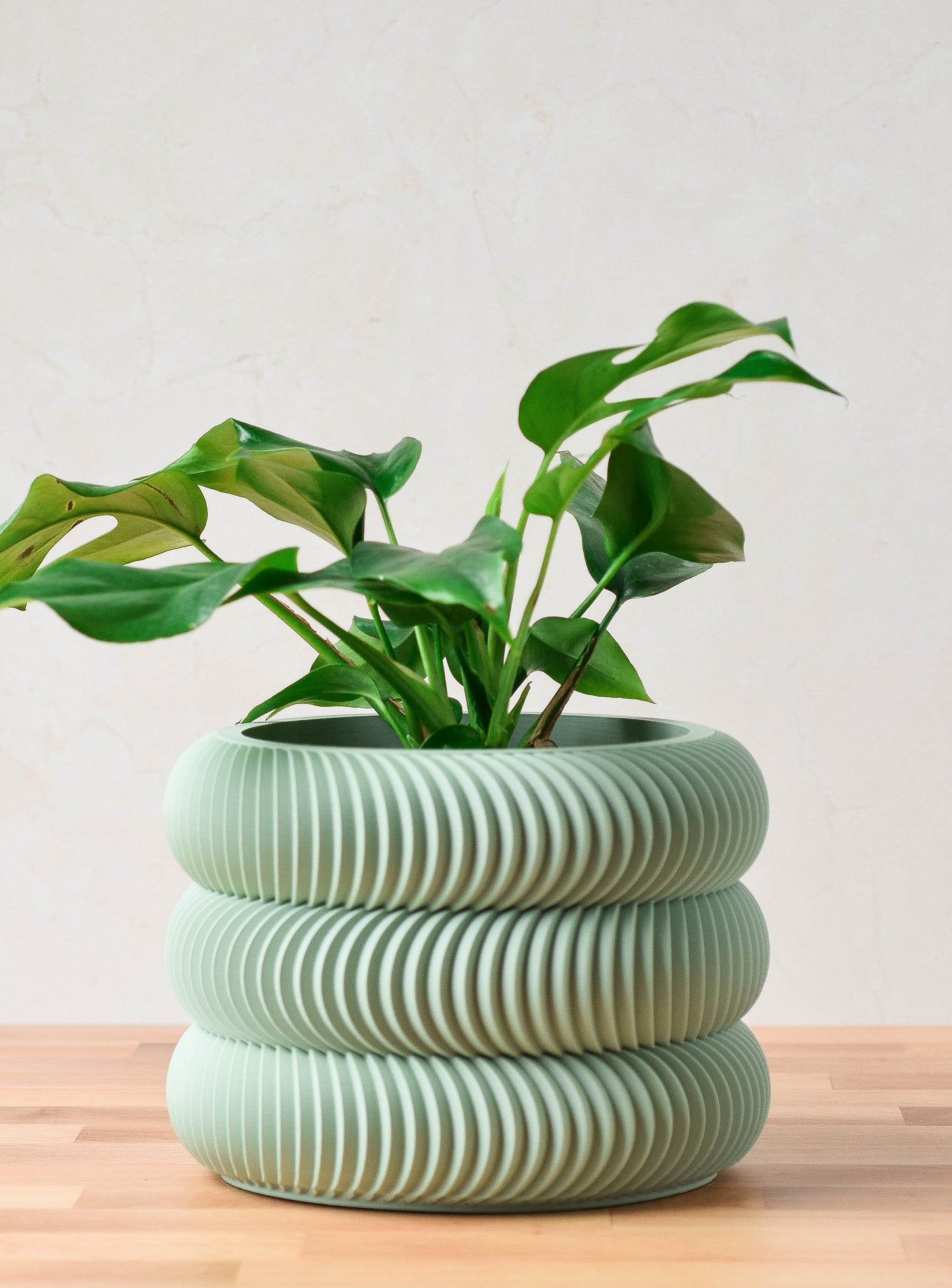 Modern Indoor Plant Pot with Drip Tray, 3d Printed Bubble Planter with Drainage