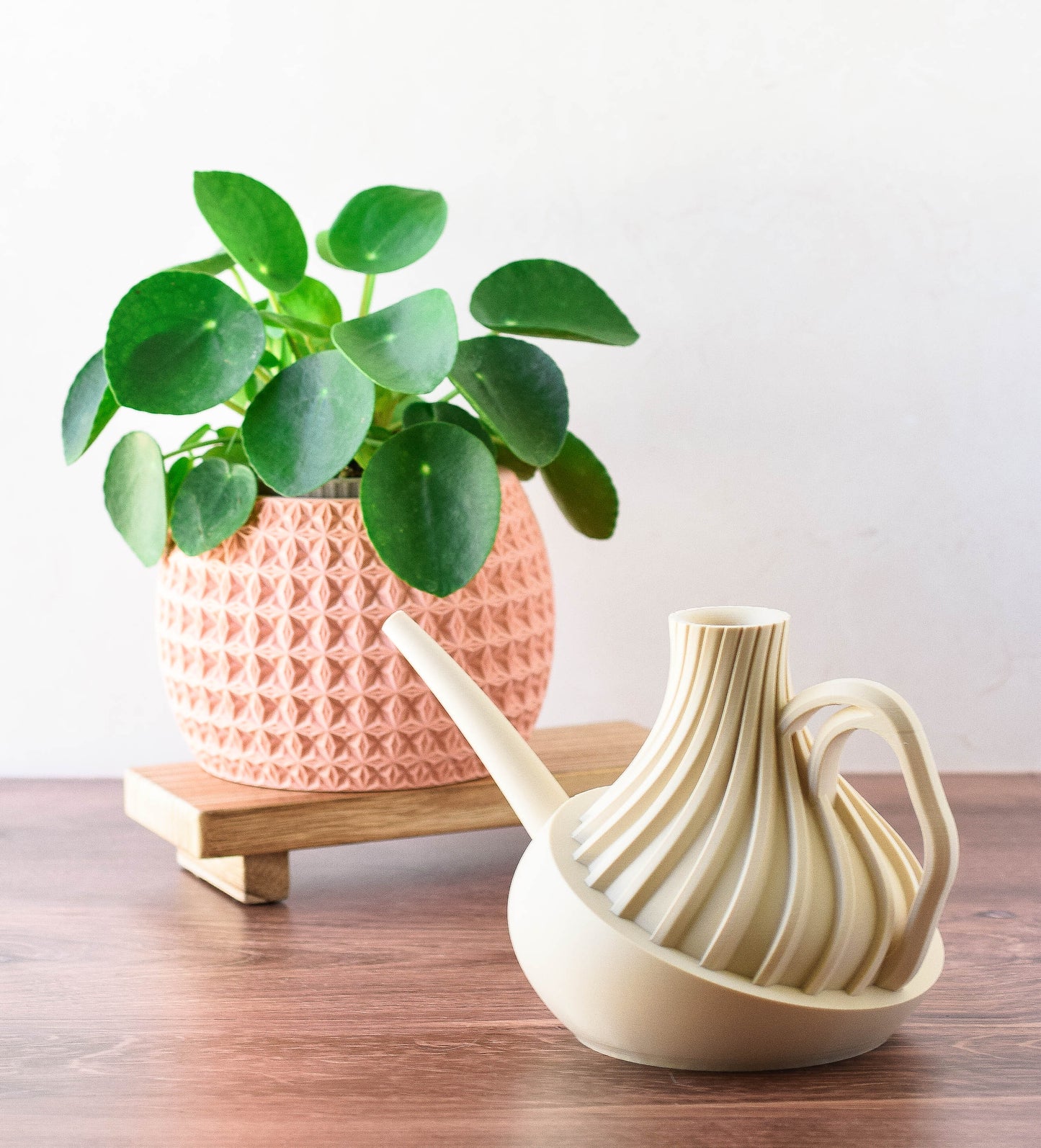 Modern Watering Can, Minimalist Indoor Plant Watering Can with Long Spout
