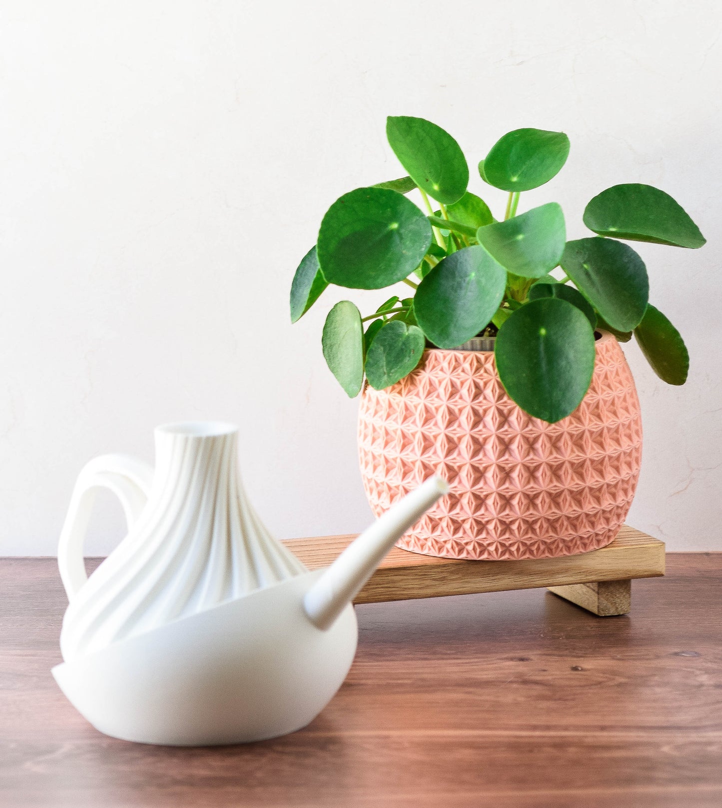 Modern Watering Can, Minimalist Indoor Plant Watering Can with Long Spout