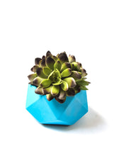 Load image into Gallery viewer, Geometric Planter - Planter with Drainage - Concrete Planter - Cement - Modern - Minimalist - Succulent Planter - Air Plant Holder
