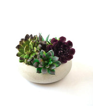 Load image into Gallery viewer, Concrete Catchall Bowl - Succulent Planter - Trinket Bowl - Modern Decor - Minimalist - Keys Holder - Jewelry Holder - Cement - Hygge